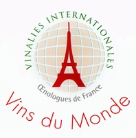 VI2006_logo.jpg